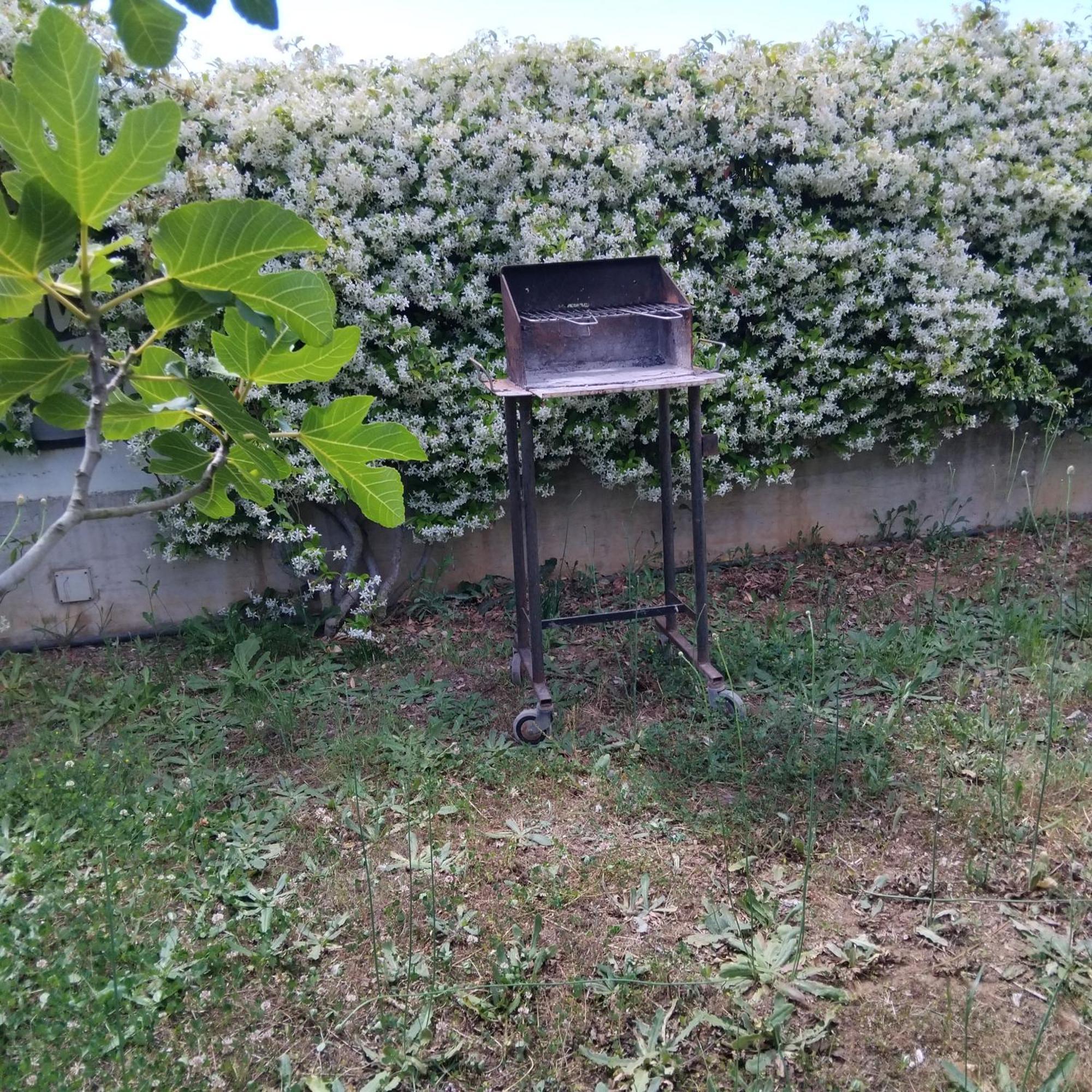 Appartamento In Seminterrato Zannone 萨包迪亚 外观 照片